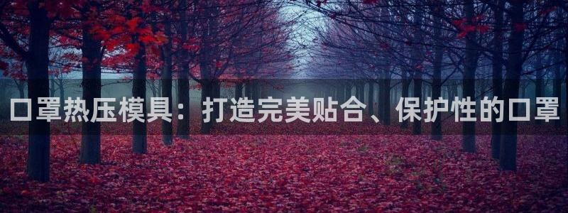 易倍纤瘦身三部曲的价格：口罩热压模具：打造完美贴合、保护