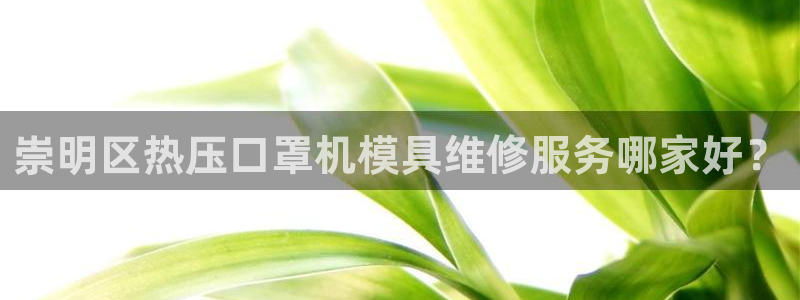 易倍纤能减肥吗