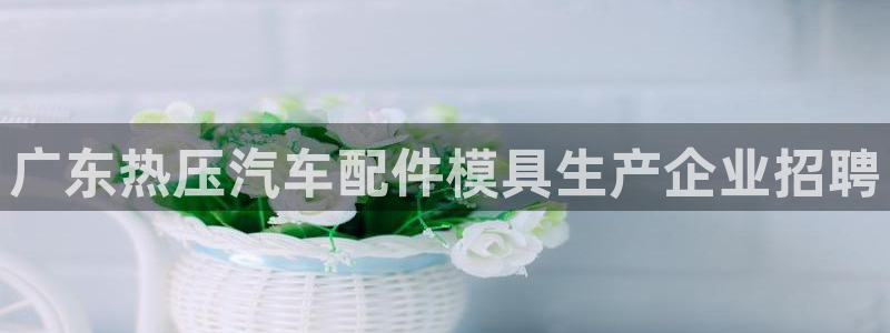 易倍申的包装规格