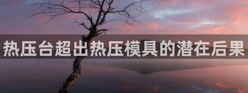易倍申片说明书