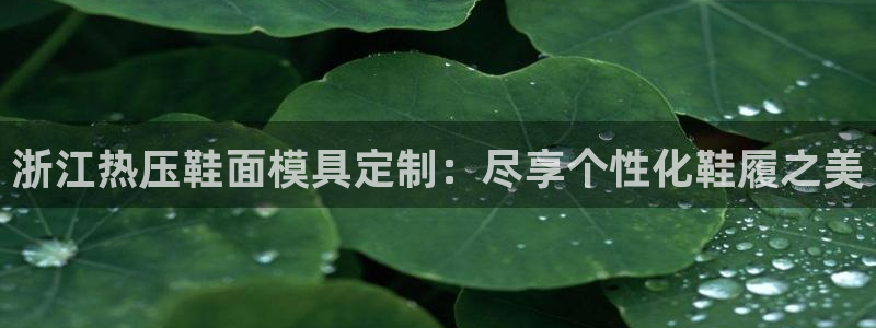易倍易倍单词官方网站：浙江热压鞋面模具定制：尽享个性化鞋
