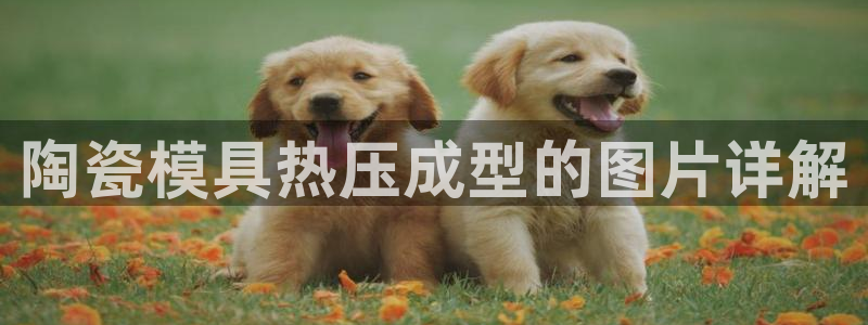 上海易倍投资有限公司：陶瓷模具热压成型的图片详解