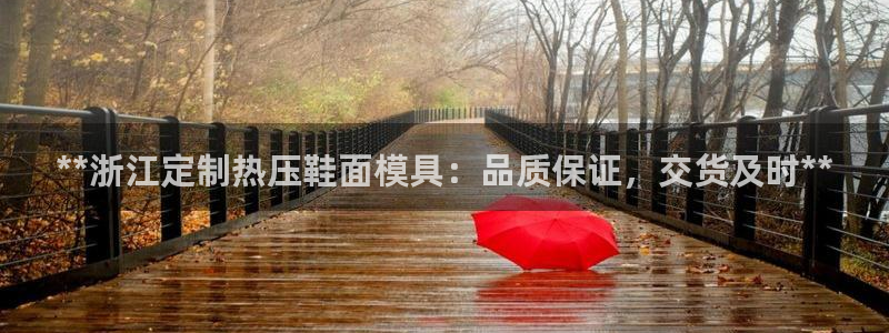 易倍单词官方网站登录：**浙江定制热压鞋面模具：品质保证