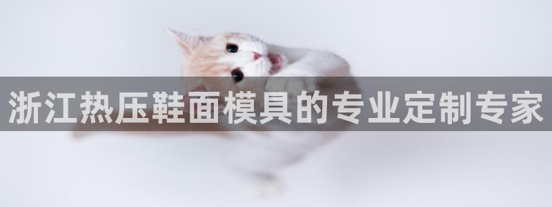 易倍易倍单词官方网站：浙江热压鞋面模具的专业定制专家