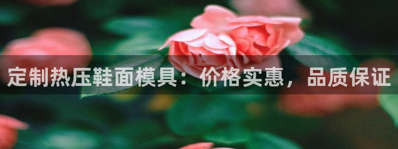 易倍申片说明书