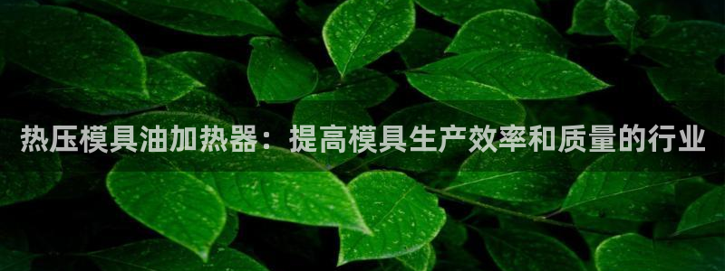 易倍申服用方法：热压模具油加热器：提高模具生产效率和质量