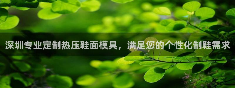 emc app下载：深圳专业定制热压鞋面模具，满足您的个