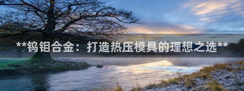 易倍申不良反应：**钨钼合金：打造热压模具的理想之选**