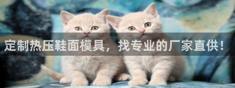 易倍申多少钱一盒