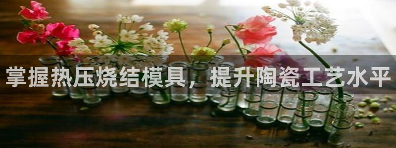 emc易倍全站：掌握热压烧结模具，提升陶瓷工艺水平