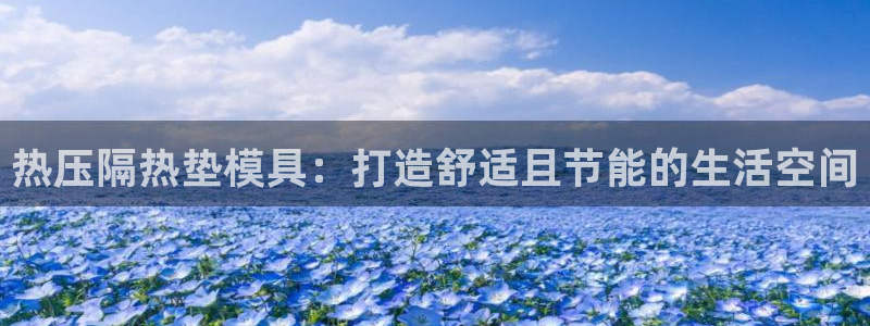 emc易倍ios官网：热压隔热垫模具：打造舒适且节能的生