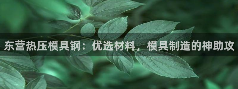 北京易倍思教育怎么样