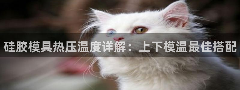 EMC易倍：硅胶模具热压温度详解：上下模温最佳搭配