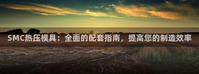 emc易倍首存500送球衣：SMC热压模具：全面的配套指