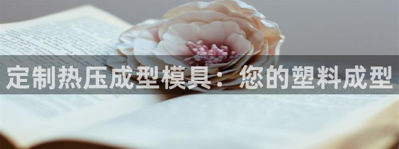 易倍纤官网：定制热压成型模具：您的塑料成型