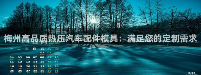 emc易倍的服务优势：梅州高品质热压汽车配件模具：满足您