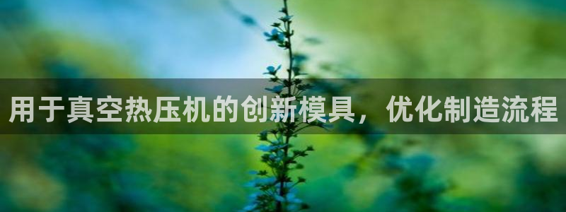 易倍英语官方网站登录：用于真空热压机的创新模具，优化制造