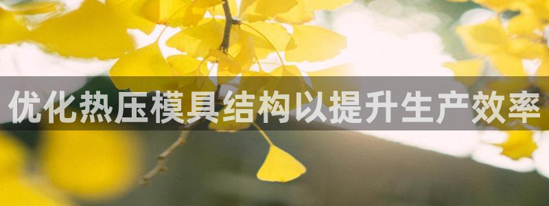 易倍纤代餐奶昔减肥效果怎么样：优化热压模具结构以提升生产