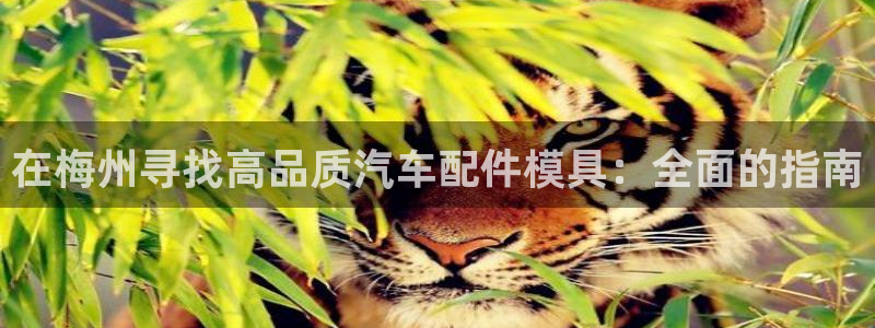 emc全站网页版：在梅州寻找高品质汽车配件模具：全面的指