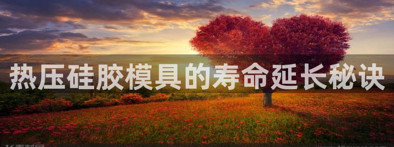 易倍单词登录网站