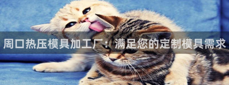 易倍单词平台：周口热压模具加工厂：满足您的定制模具需求