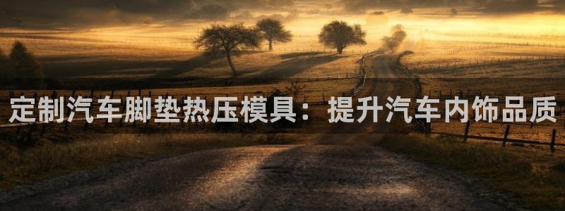 emc易倍穆里尼奥：定制汽车脚垫热压模具：提升汽车内饰品