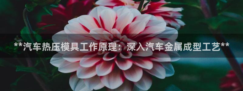 emc频率范围：**汽车热压模具工作原理：深入汽车金属成