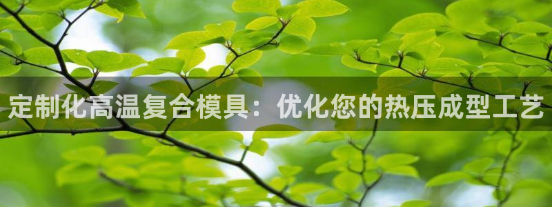emc易倍官网app下载：定制化高温复合模具：优化您的热