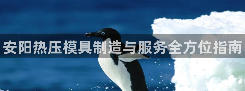 易倍单词平台：安阳热压模具制造与服务全方位指南