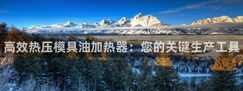 易倍单词平台