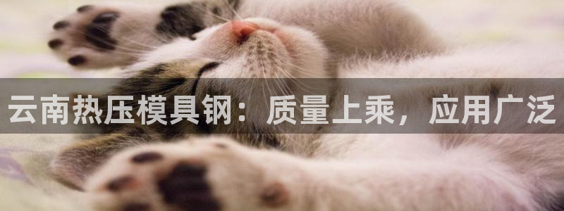 易倍申安理申区别：云南热压模具钢：质量上乘，应用广泛