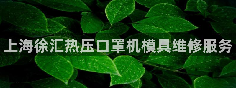 易倍申价格是多少