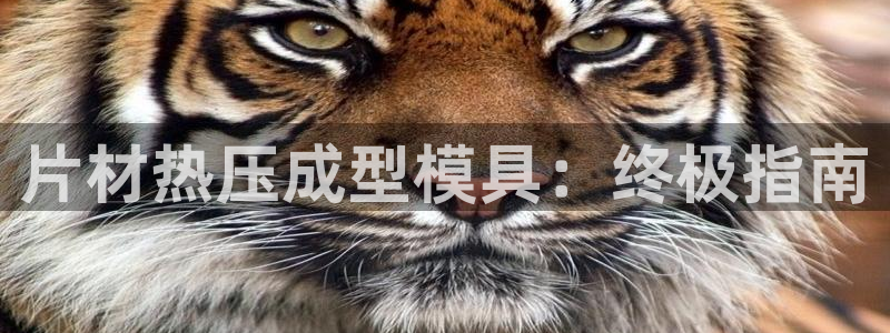 易倍达科技有限公司招聘