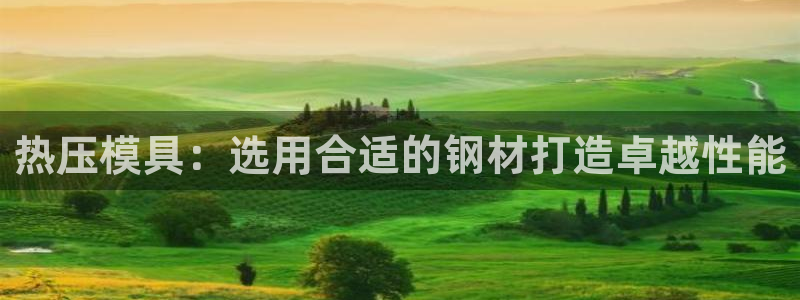 emc全站app下载：热压模具：选用合适的钢材打造卓越性