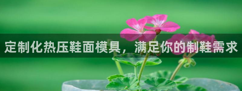 易倍单词官方网站：定制化热压鞋面模具，满足你的制鞋需求