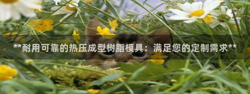 emc易倍官网app：**耐用可靠的热压成型树脂模具：满
