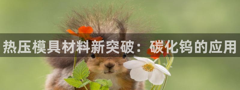 易倍申上市时间