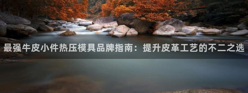 emc32软件安装：最强牛皮小件热压模具品牌指南：提升皮