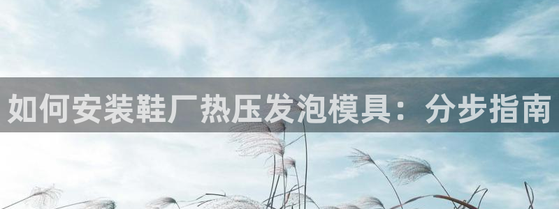 易倍纤减肥价格：如何安装鞋厂热压发泡模具：分步指南