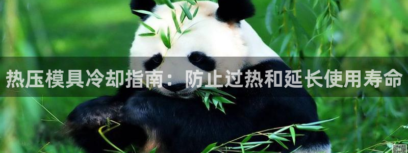 易倍网络技术有限公司招聘