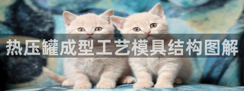 emc易倍官方下载