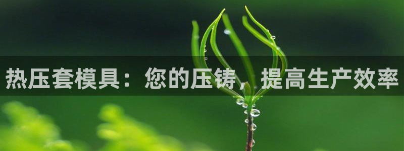 emc易倍官网首页进入：热压套模具：您的压铸，提高生产效