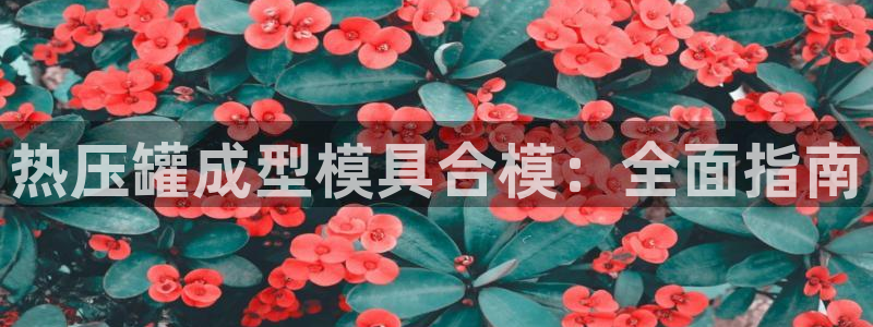 易倍企业管理软件怎么样
