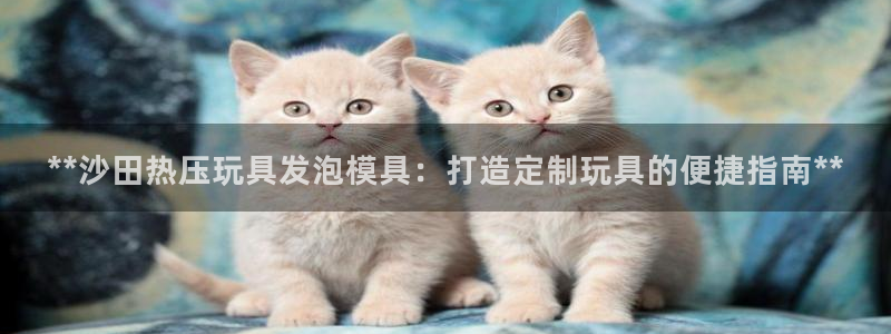 emc 倍频：**沙田热压玩具发泡模具：打造定制玩具的便