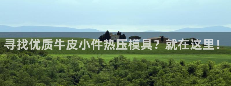 易倍纤代餐奶昔怎么样：寻找优质牛皮小件热压模具？就在这里