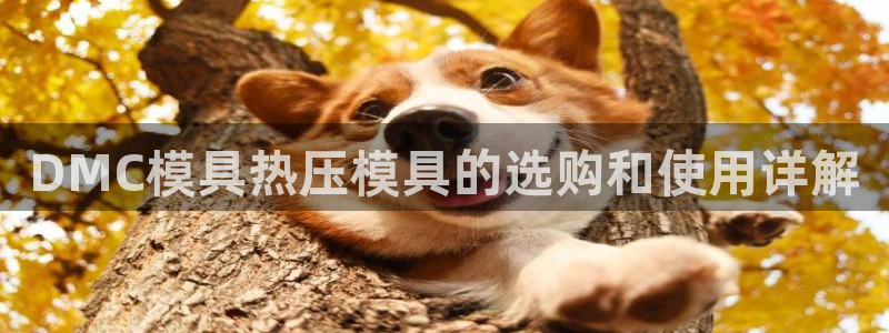 emc登录网站