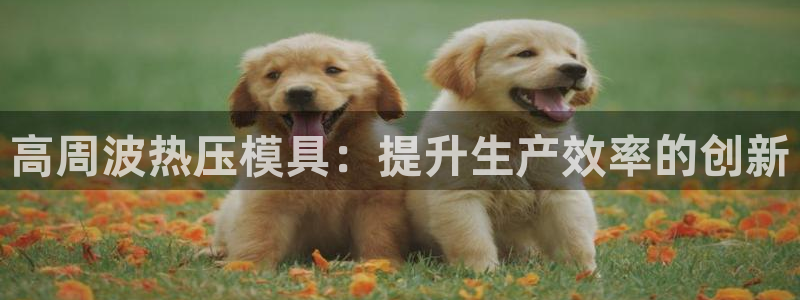 易倍网络技术有限公司是干嘛的：高周波热压模具：提升生产效