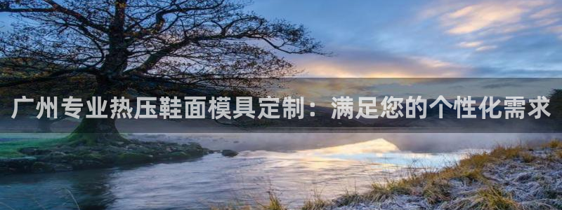 易倍下载：广州专业热压鞋面模具定制：满足您的个性化需求
