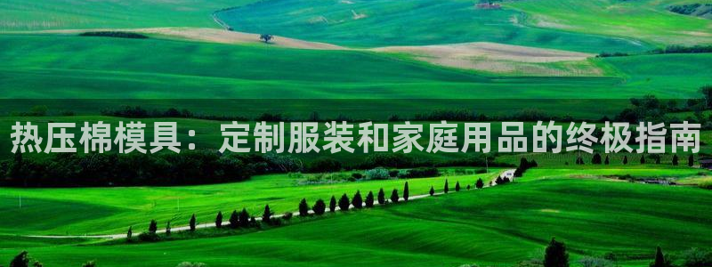 易倍英语官方网站登录：热压棉模具：定制服装和家庭用品的终