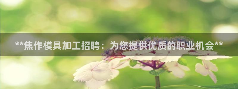 emc易倍下载：**焦作模具加工招聘：为您提供优质的职业